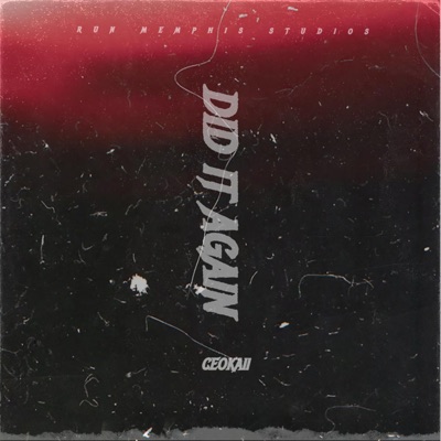 DID IT AGAIN - Single