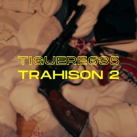Trahison 2 - Single - Tiguere 635