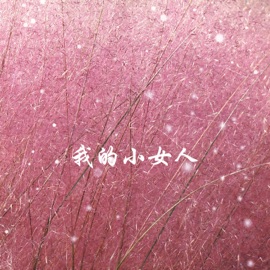 我的小女人 (广场舞版) 陈玉建