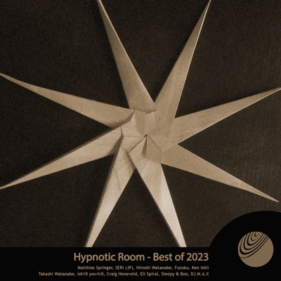 Hypnotic Room (Best Of 2023)