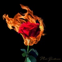 Como Lo Reparo - Single - Max Zendencia