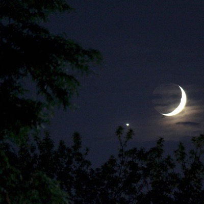 Late Night Wandering - Single