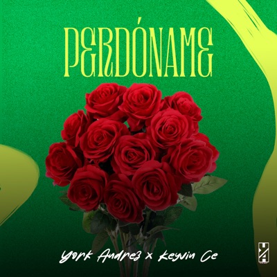 Perdóname - Single