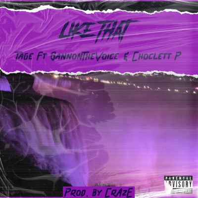 Like That (feat. GannonTheVoice & Choclett P) - Single