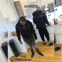The Program - Single - A Miz
