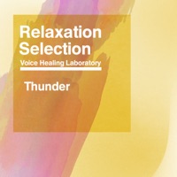 Relaxation Selection Vo.8(Thunder)