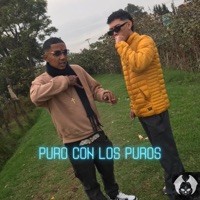 Puro Con los Puros - Single - LamiaProduce