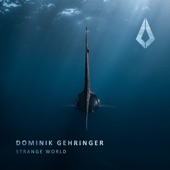 Strange World (Extended Mix) artwork