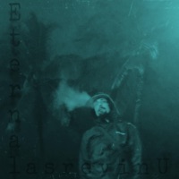 Bound To Reach It - Single - Das Infinite