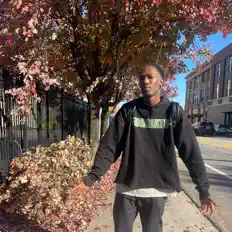 A$e CA$hを聴いたり、ミュージックビデオを鑑賞したり、経歴やツアー日程などを確認したりしましょう！