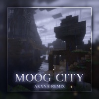 Moog City - Single - AKXNA