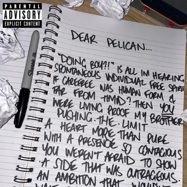 Dear Pelican...
