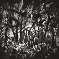 Murderers Robbers - Single - NKOHA