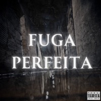 Fuga Perfeita - Single - MC Bronze & Dj Tavinho