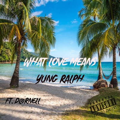 WHAT LOVE MEANS (feat. D@rnell) - Single