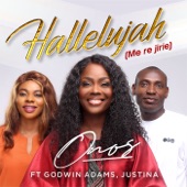 Hallelujah (Me Re Jirie) [feat. Godwin Adams & Justina] artwork