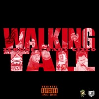 Walking Tall (feat. Baby Cisco) - Single - 2cbone