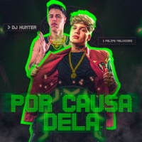 Por Causa Dela - Single - Felipe Melchiori & Dj Hunter
