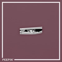 Peepin' - Single - Monster Florence