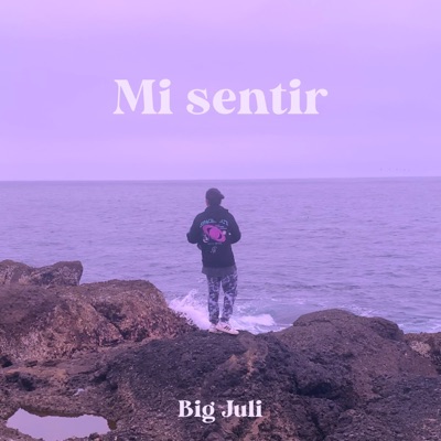 Mi Sentir - Single