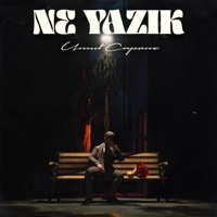 Ne Yazik