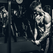 Motivación - Addison Zegan