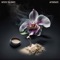 Aftertaste - Mystic Tea Party lyrics