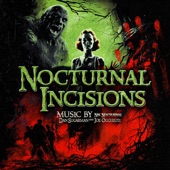 Nocturnal Incisions (feat. Joe Occhiuti) artwork
