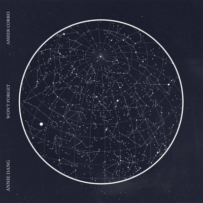 Won't Forget - Single