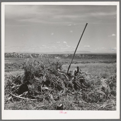 keep the radiator on, I'm almost home - Single