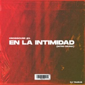 En la Intimidad (Remix) artwork