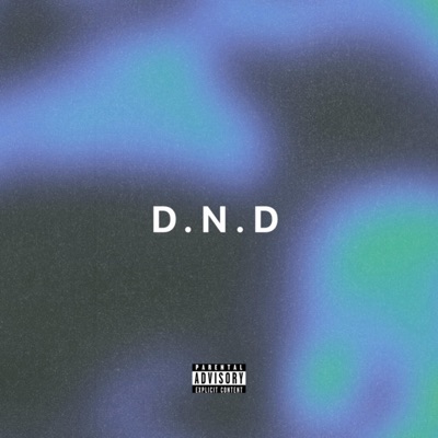 Do Not Disturb (Volume I Tape) - EP