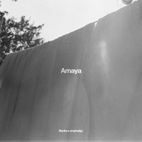 Amaya - Single - anybodyy & Banks