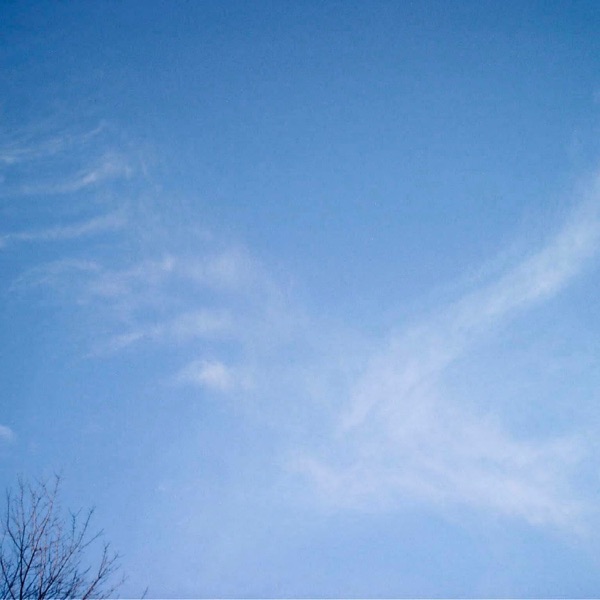 For Different Skies - Single