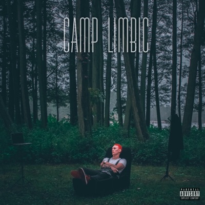 Camp Limbic