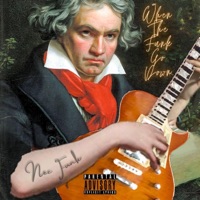 When the Funk Go Down - Single - Nec Funk