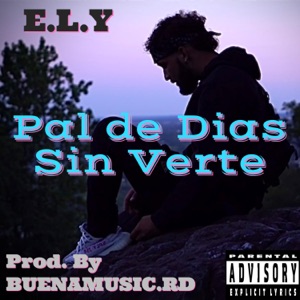 Pal de Días Sin Verte (feat. BUENAMUSIC.RD)