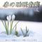 Spring Awakening - Japan BGM Improvement Committee lyrics