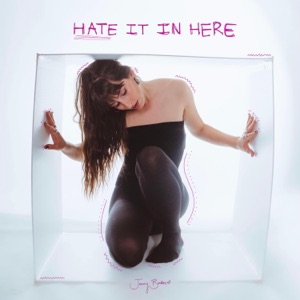 Hate It In Here - Single