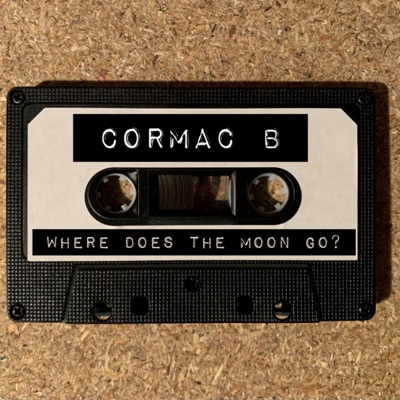 Where Does the Moon Go? - Single