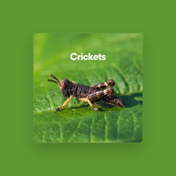 Sleep Crickets's avatar