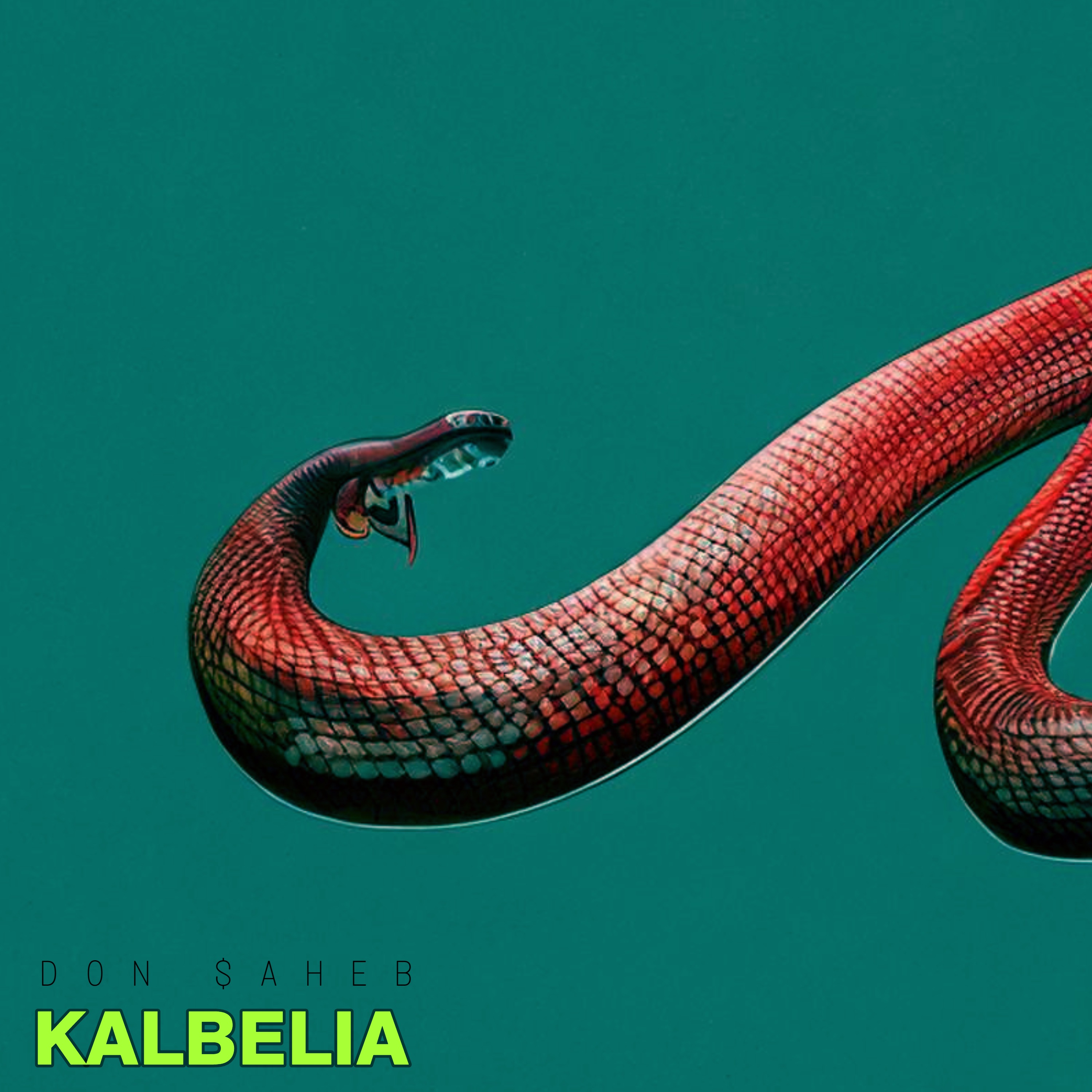 Kalbelia - Single