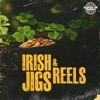 Band of Horses Band of Horses Irish Jigs & Reels