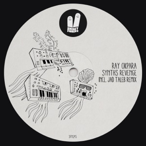Synths Revenge - Single