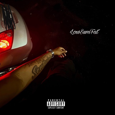 LowSumFat (UNFINISHED) - Single
