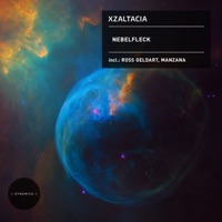 Nebelfleck - Single - Xzaltacia