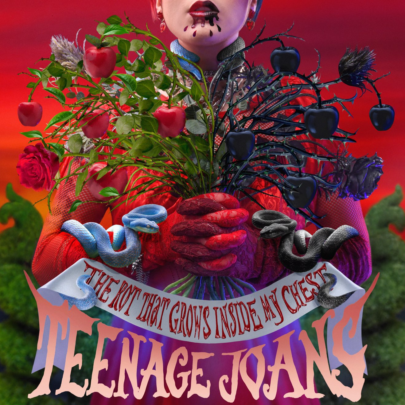 Teenage Joans – The Rot That Grows Inside My Chest (2023) [iTunes Match M4A]