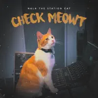 Check Meowt — Nala the Station Cat