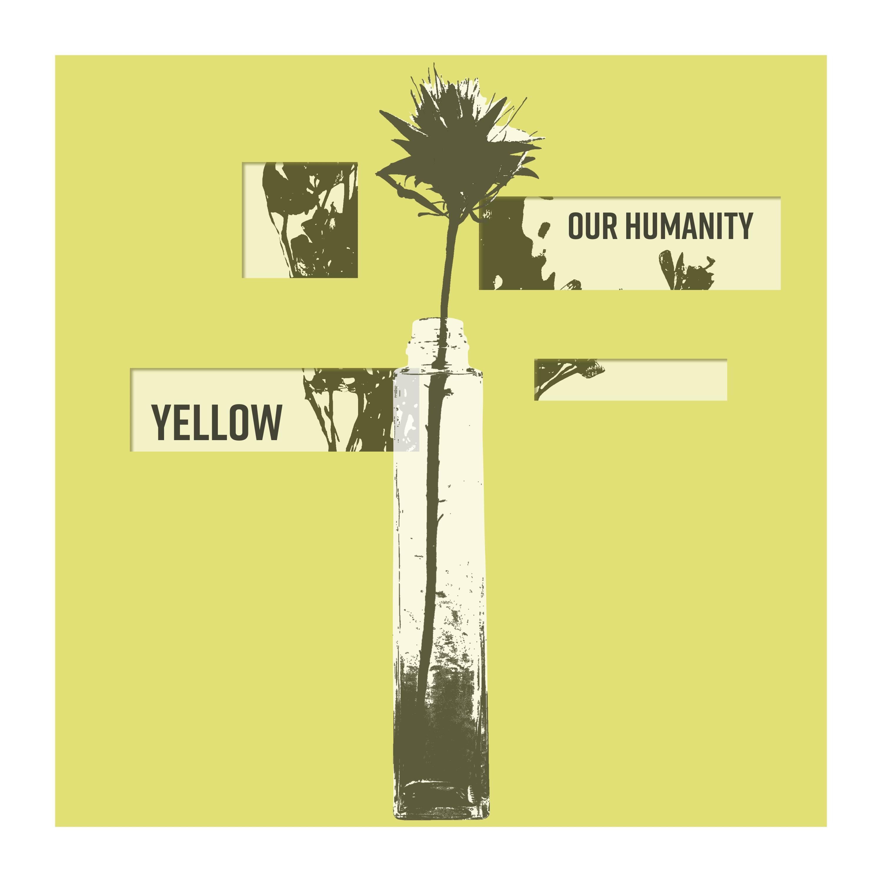 NEXT KIDS WORLDWIDE.COM - Yellow freestyle