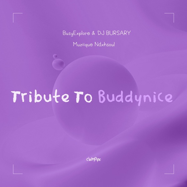 Tribute To Buddynice - EP